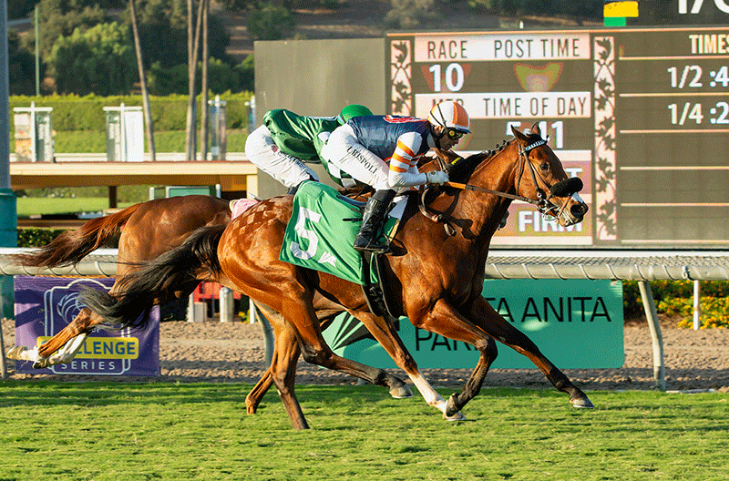 Later Than Planned (IRE)